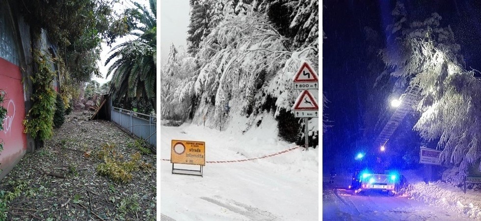 Situazione maltempo: una frana mette paura all’Alto Garda, slavine e alberi schianti fanno chiudere oltre 20 strade